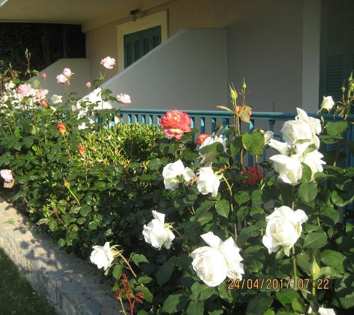 Kyveli Hotel Apartments Vrontados ภายนอก รูปภาพ